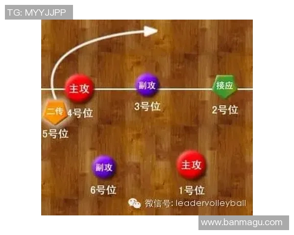 武汉乒乓球队快攻战术解析与技术深度剖析