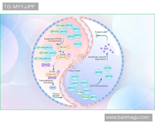 西安网球队在欧锦赛中的战术意识与团队配合全面解析 西安网球队在欧锦赛中的战术意识与团队配合全面解析
