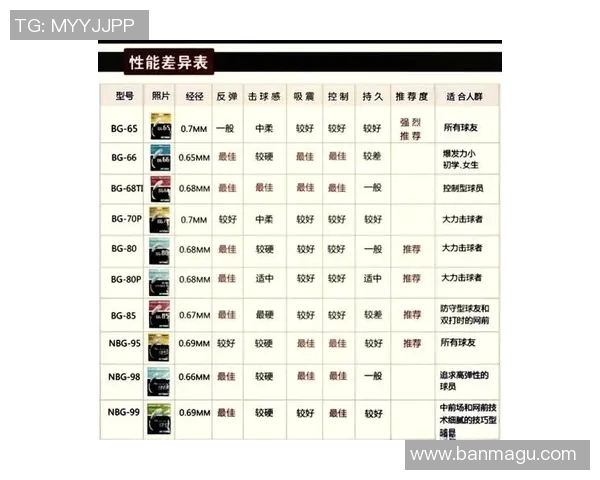 南京羽毛球队引领最新羽毛球技术十强榜单解析与展望